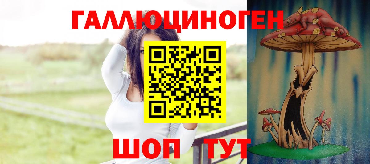 Майкоп  купить   Вход с VPN  Псилоцибиновые грибы ЛСД 
